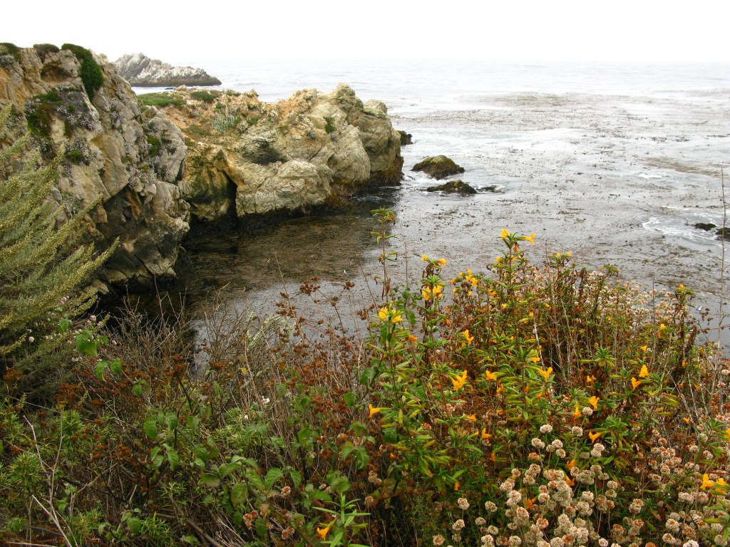 IMG_2714