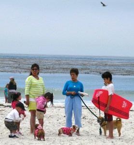 Image 11