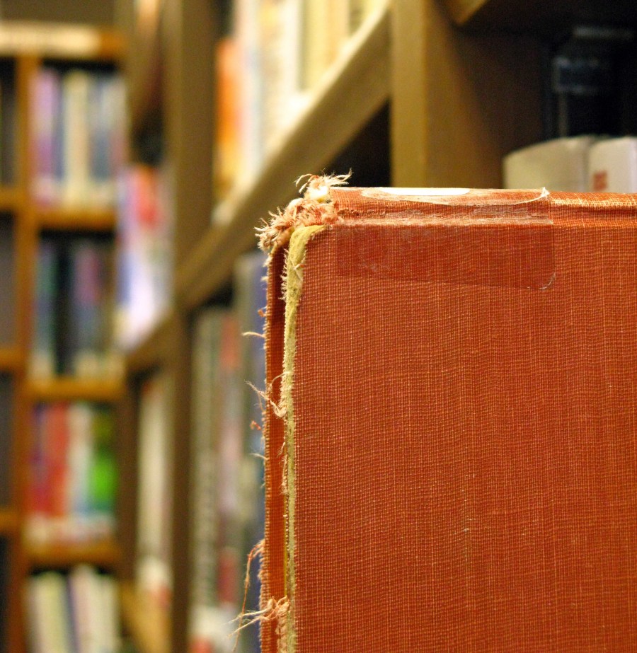 Carmel Jan 2010 124 Frayed