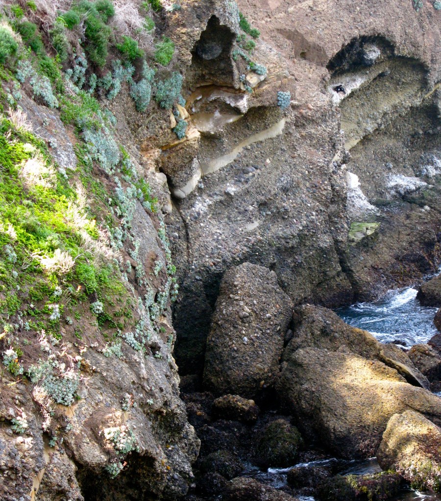 Carmel March 2010 048