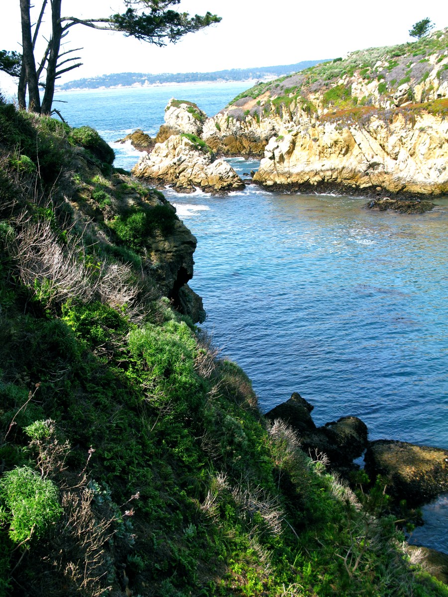 Carmel March 2010 049