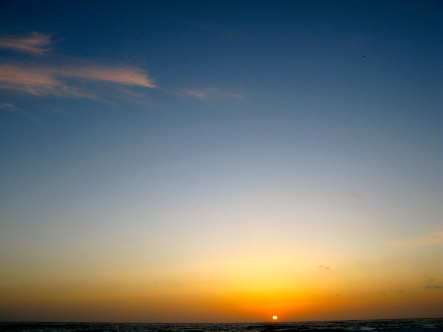 Carmel March 2010 096