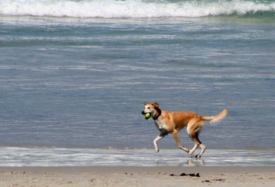 It takes very little to make Hazel happy