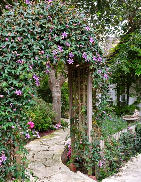 6a00e554d7b82788330133f2c2a624970b-500wi