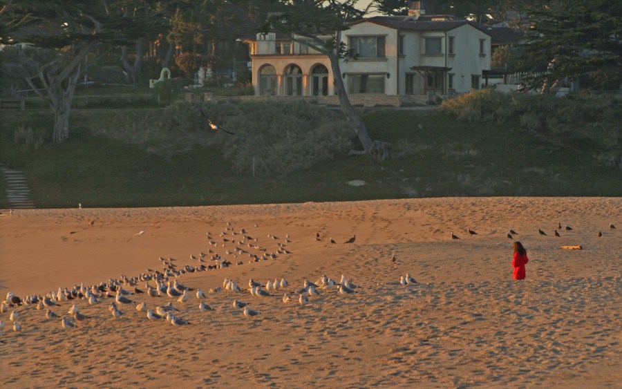 Sun down for the girl in the red coat