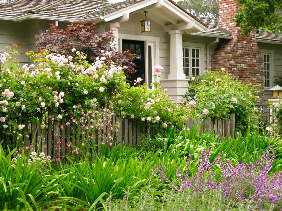 swords of madeira 415