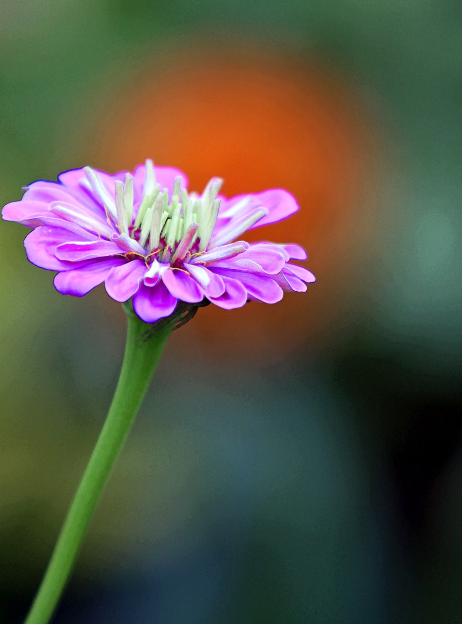 her day in the spotlight