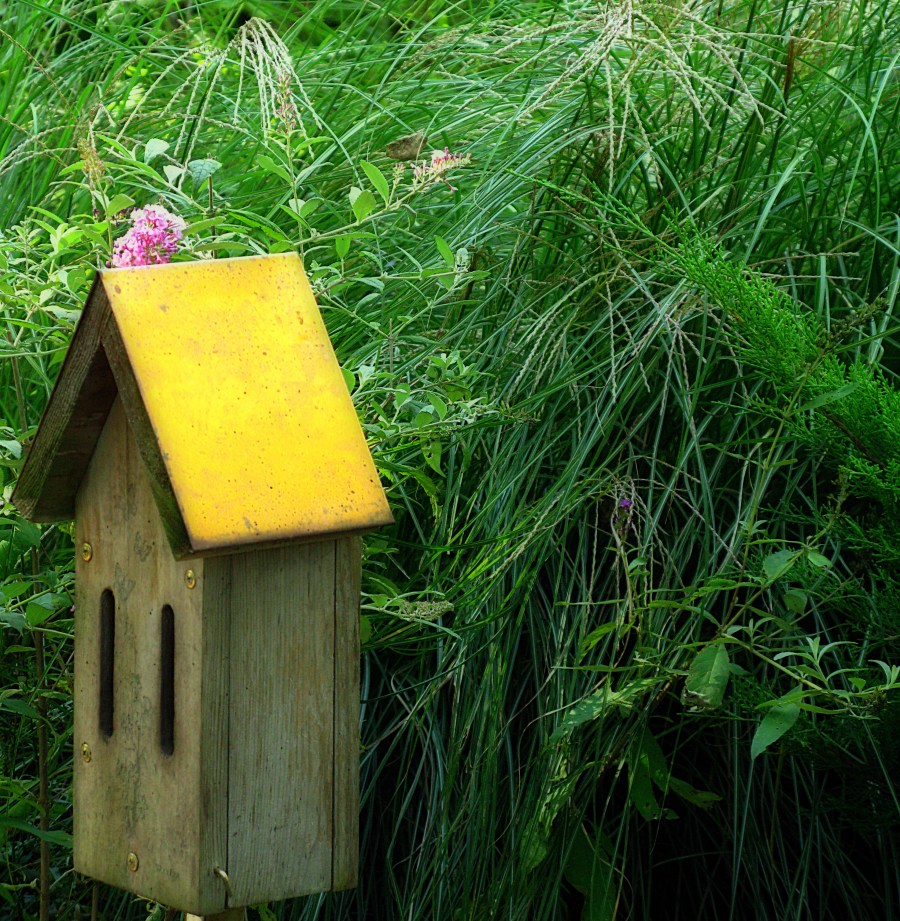 2910687158_c5ed73fa3d_o