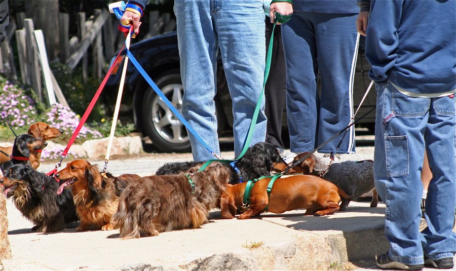 IMG_1494 ready for flickr