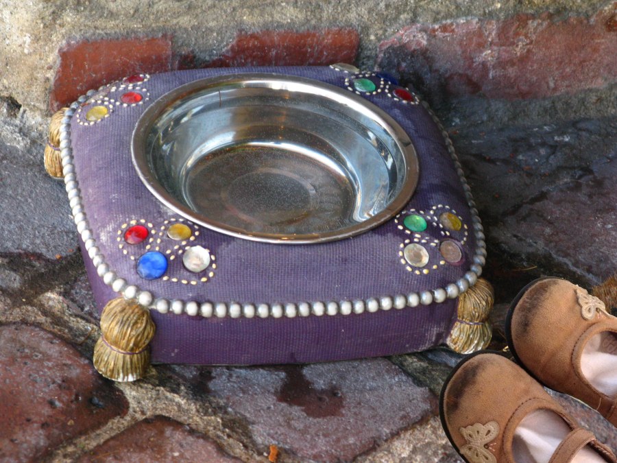 It was the fanciest dog dish she had ever seen