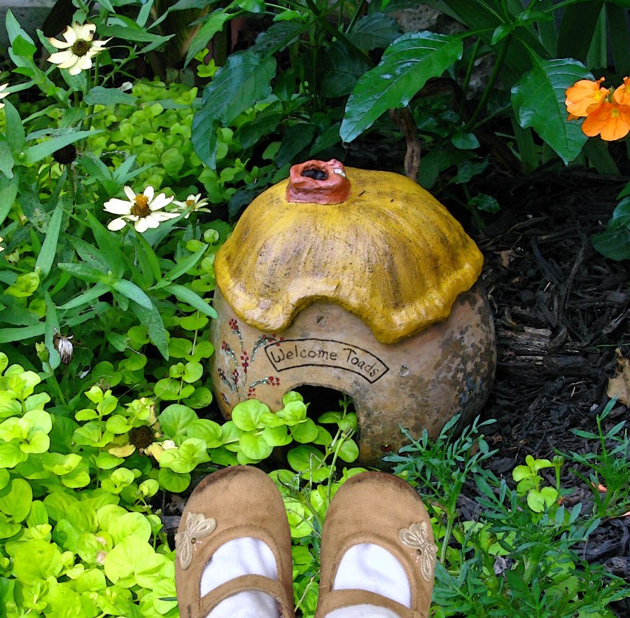 she peeked inside a toad house