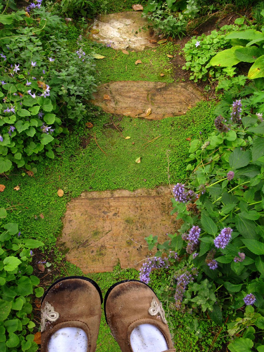 she took the side path