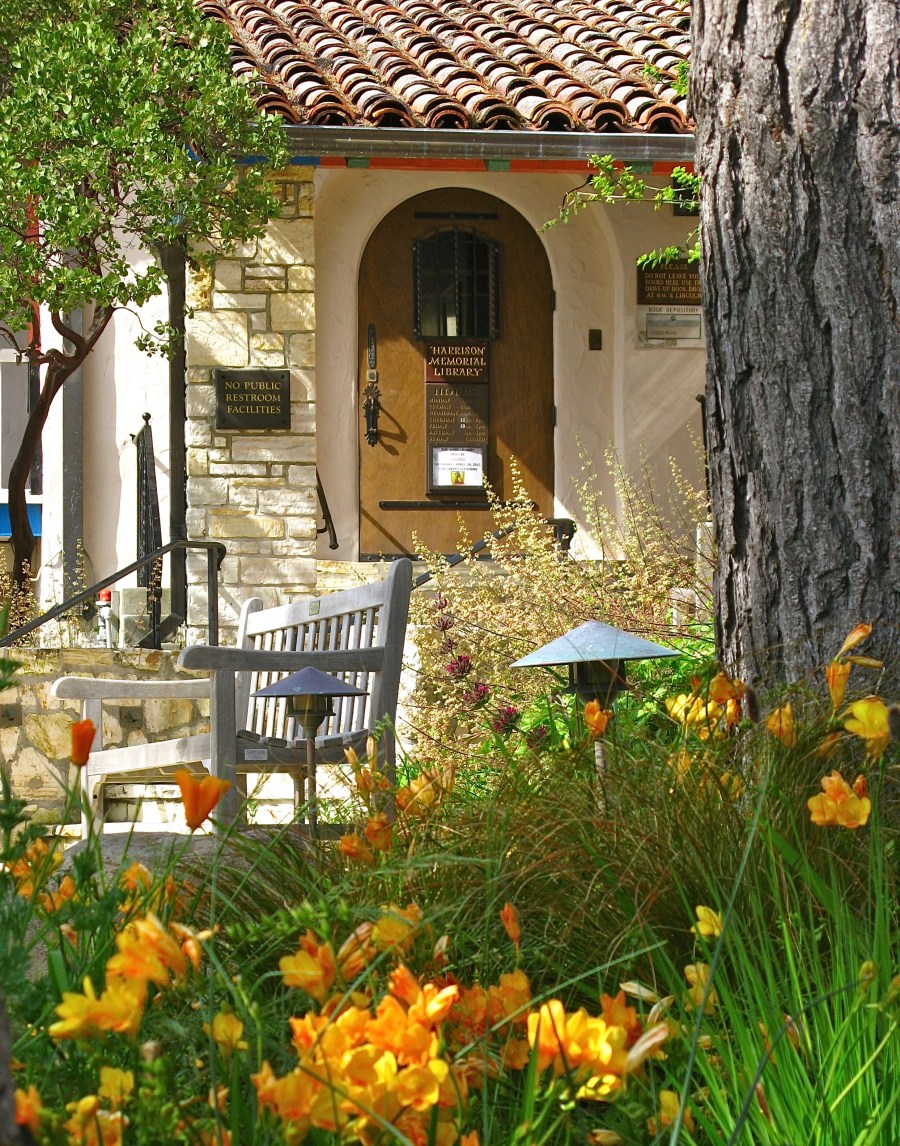 carmel stone on Library