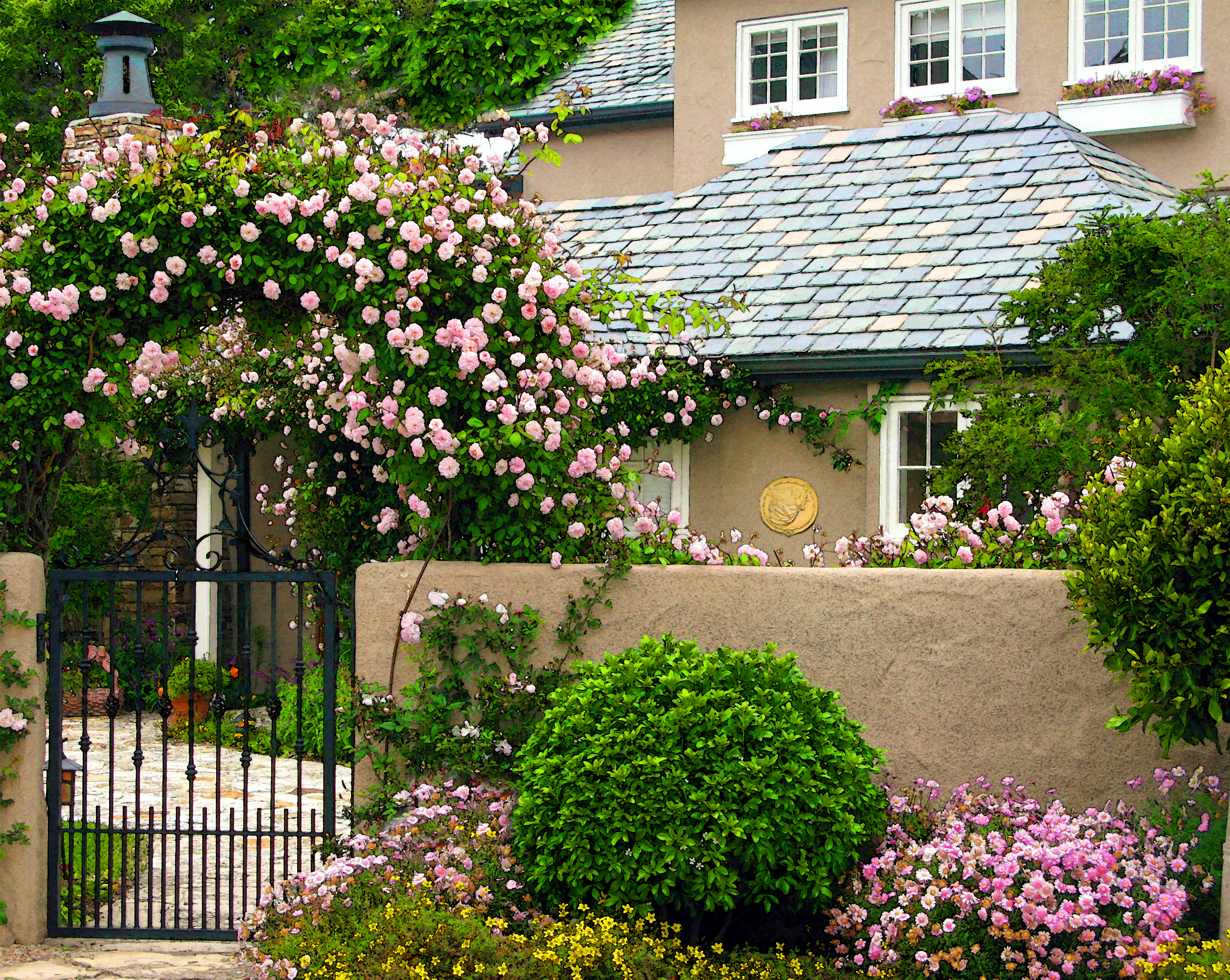 IMG_0179house of roses